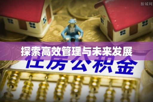 林内探索高效管理与未来发展