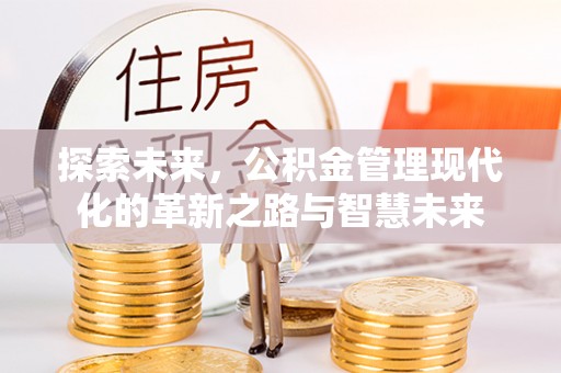 林内探索未来，公积金管理现代化的革新之路与智慧未来