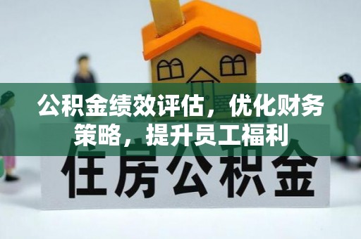 林内公积金绩效评估，优化财务策略，提升员工福利