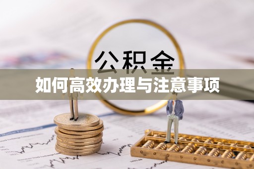 林内如何高效办理与注意事项