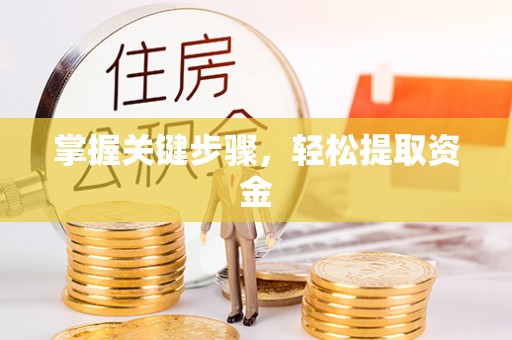 林内掌握关键步骤，轻松提取资金