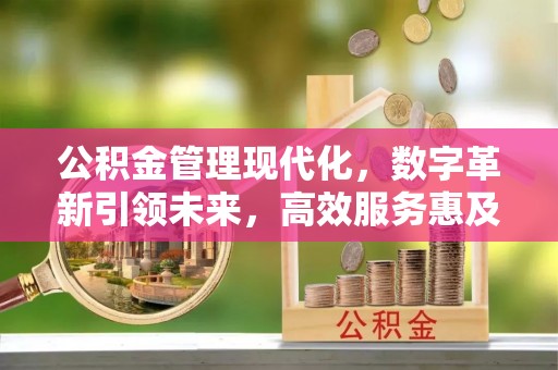 林内公积金管理现代化，数字革新引领未来，高效服务惠及民生