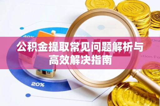 林内公积金提取常见问题解析与高效解决指南