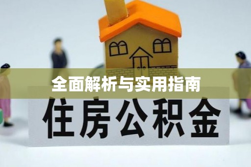 林内全面解析与实用指南