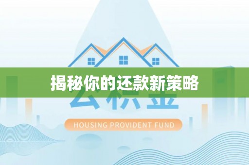 林内揭秘你的还款新策略