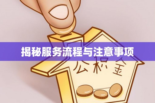 林内揭秘服务流程与注意事项