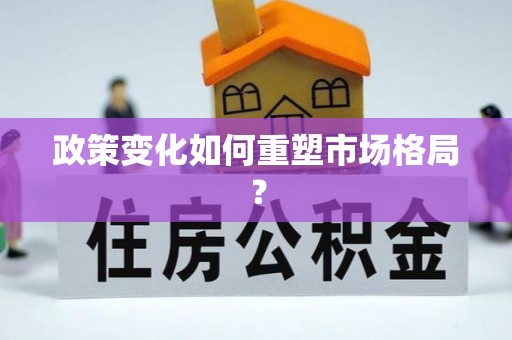 林内政策变化如何重塑市场格局？