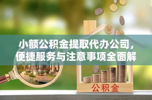 林内小额公积金提取代办公司，便捷服务与注意事项全面解析