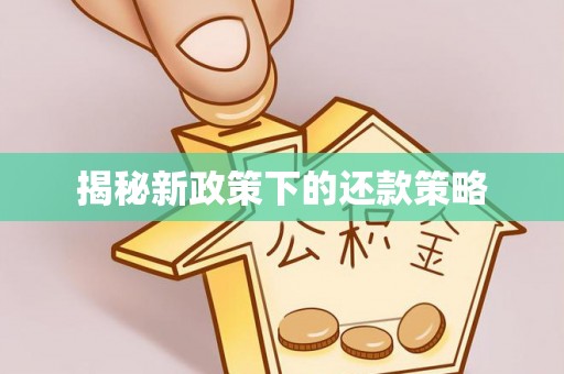 林内揭秘新政策下的还款策略