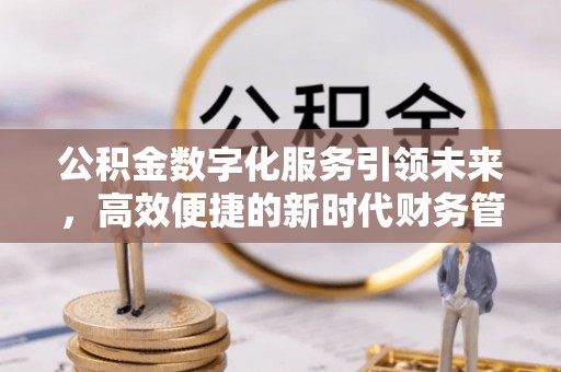 林内公积金数字化服务引领未来，高效便捷的新时代财务管理