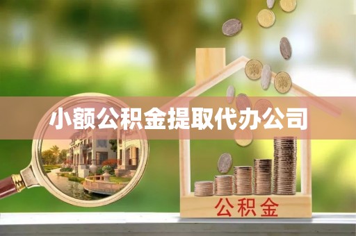 林内小额公积金提取代办公司