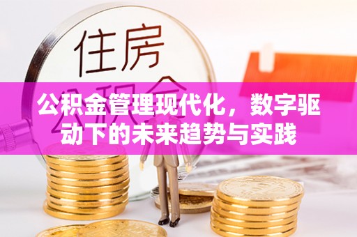 林内公积金管理现代化，数字驱动下的未来趋势与实践