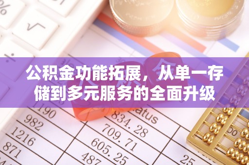 林内公积金功能拓展，从单一存储到多元服务的全面升级