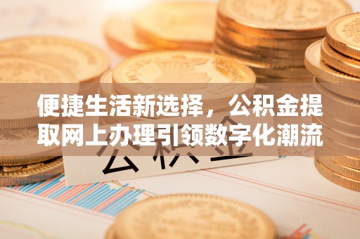 林内便捷生活新选择，公积金提取网上办理引领数字化潮流