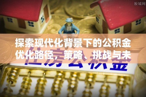 林内探索现代化背景下的公积金优化路径，策略、挑战与未来展望