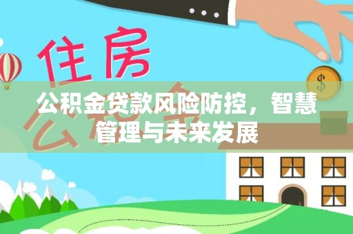 林内公积金贷款风险防控，智慧管理与未来发展