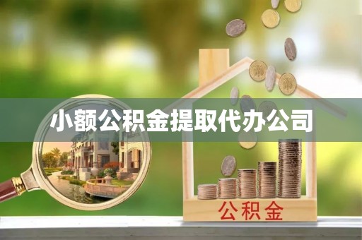 林内小额公积金提取代办公司