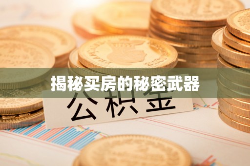 林内揭秘买房的秘密武器