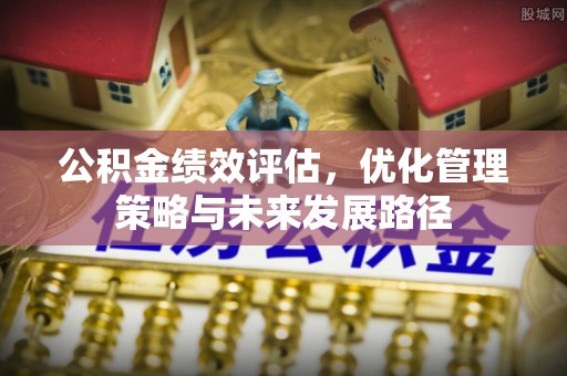 林内公积金绩效评估，优化管理策略与未来发展路径