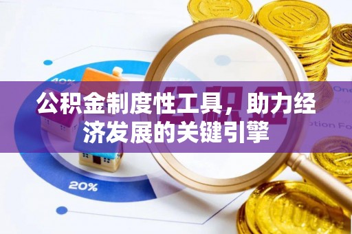 林内公积金制度性工具，助力经济发展的关键引擎