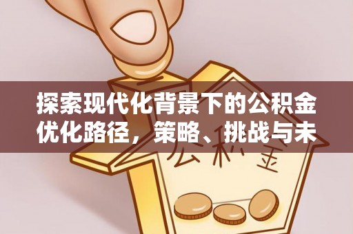 林内探索现代化背景下的公积金优化路径，策略、挑战与未来展望