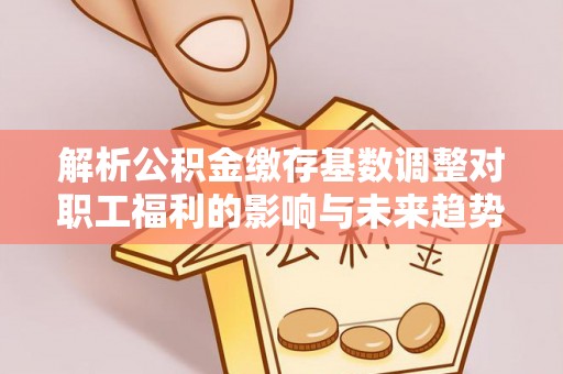 林内解析公积金缴存基数调整对职工福利的影响与未来趋势