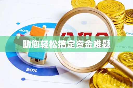 林内助您轻松搞定资金难题
