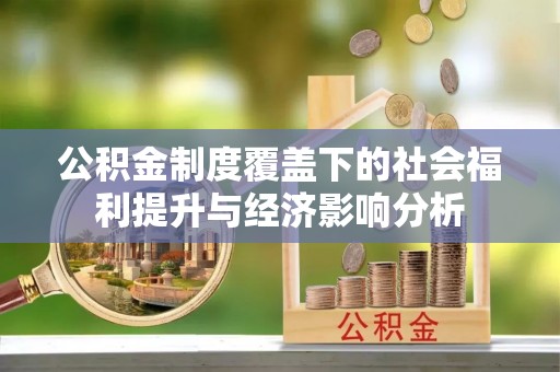 林内公积金制度覆盖下的社会福利提升与经济影响分析