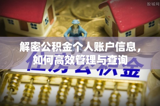 林内解密公积金个人账户信息，如何高效管理与查询
