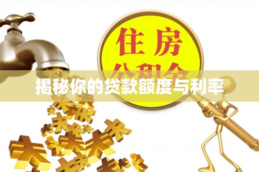 林内揭秘你的贷款额度与利率