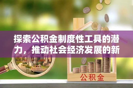 林内探索公积金制度性工具的潜力，推动社会经济发展的新引擎