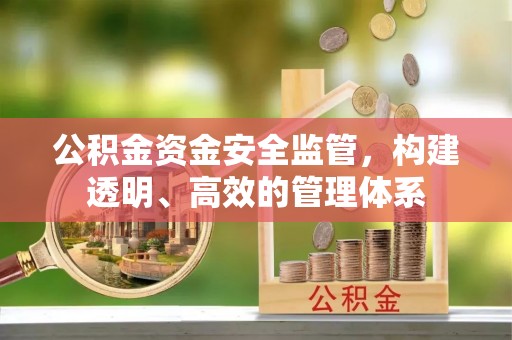 林内公积金资金安全监管，构建透明、高效的管理体系