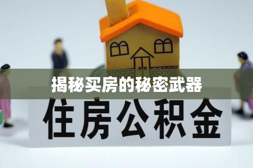 林内揭秘买房的秘密武器
