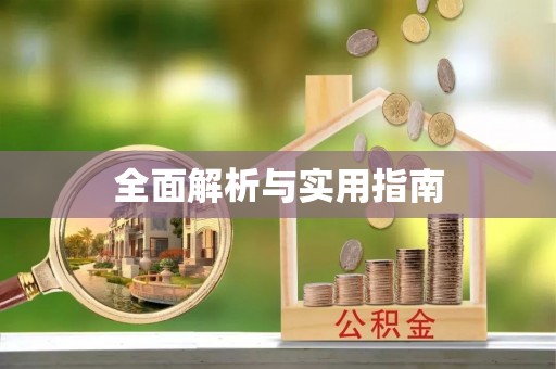 林内全面解析与实用指南