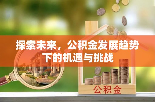 林内探索未来，公积金发展趋势下的机遇与挑战