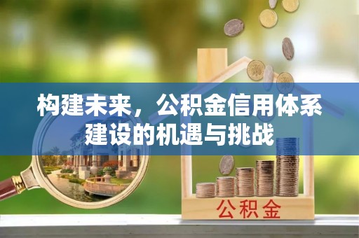 林内构建未来，公积金信用体系建设的机遇与挑战