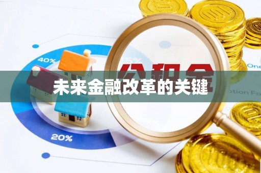 林内未来金融改革的关键