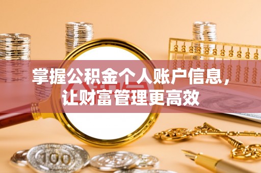 林内掌握公积金个人账户信息，让财富管理更高效