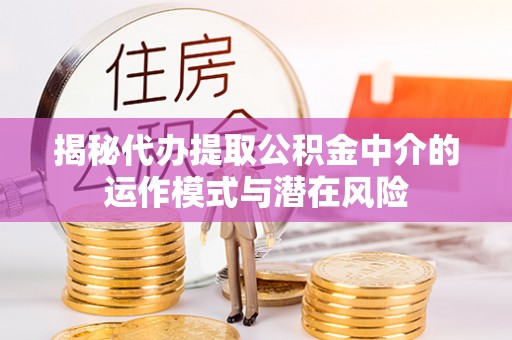林内揭秘代办提取公积金中介的运作模式与潜在风险