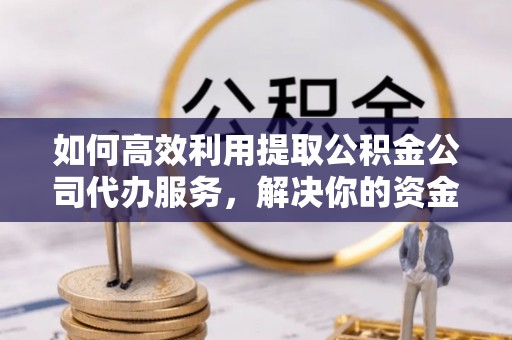 林内如何高效利用提取公积金公司代办服务，解决你的资金难题