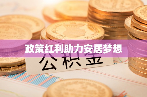 林内政策红利助力安居梦想