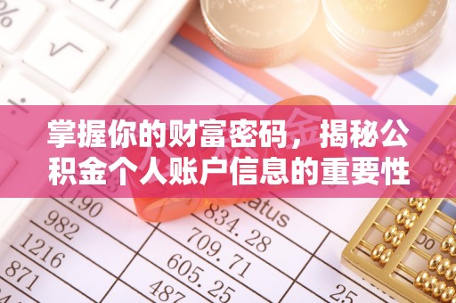 林内掌握你的财富密码，揭秘公积金个人账户信息的重要性