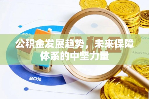 林内公积金发展趋势，未来保障体系的中坚力量