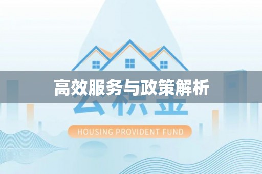 林内高效服务与政策解析