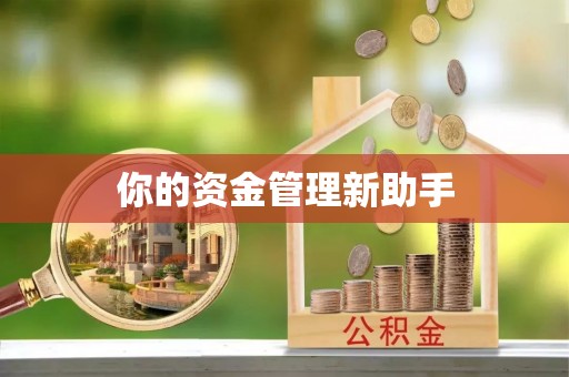 林内你的资金管理新助手