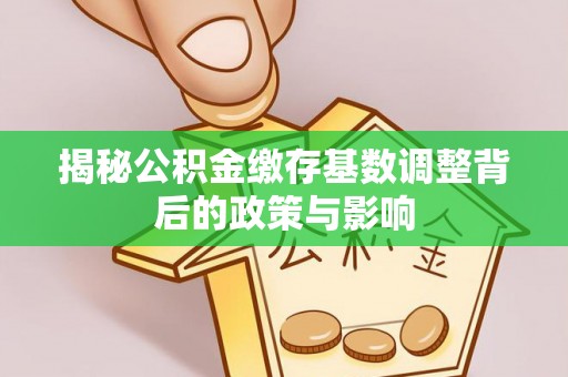 林内揭秘公积金缴存基数调整背后的政策与影响