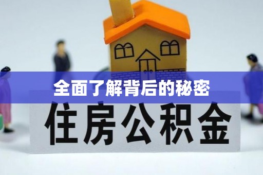 林内全面了解背后的秘密