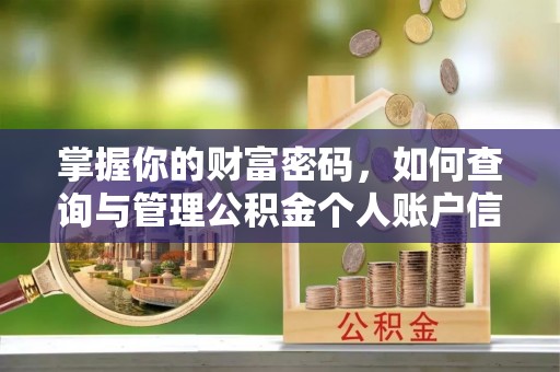 林内掌握你的财富密码，如何查询与管理公积金个人账户信息