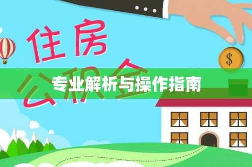 林内专业解析与操作指南