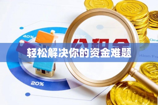 林内轻松解决你的资金难题